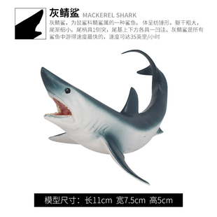 儿童仿真海洋动物玩具模型摆件科教玩具鲨鱼巨齿鲨大白鲨灰青鲨