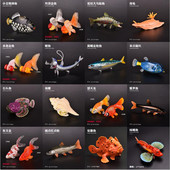 儿童海洋动物玩具模型金鱼枪鱼鲑鱼箱鲀石头鱼海螺炮弹鱼蝰鱼花鳅
