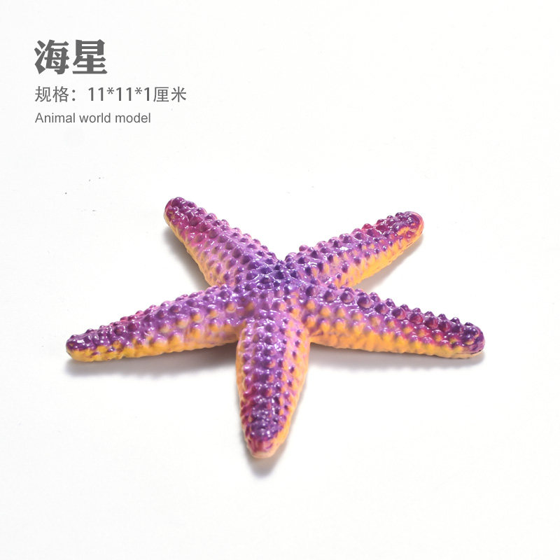 儿童仿真海洋海底生物淡水动物模型海星红海象紫海星太阳海星模型