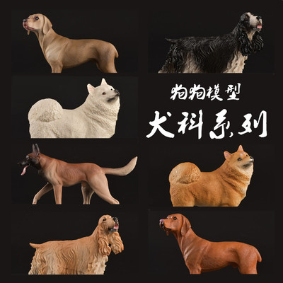 狼狗萨摩耶威玛猎犬泰迪藏獒动物