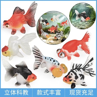 儿童实心仿真水泡金鱼鹤顶红五花龙睛望天金鱼鎏金金鱼假鱼缸摆件