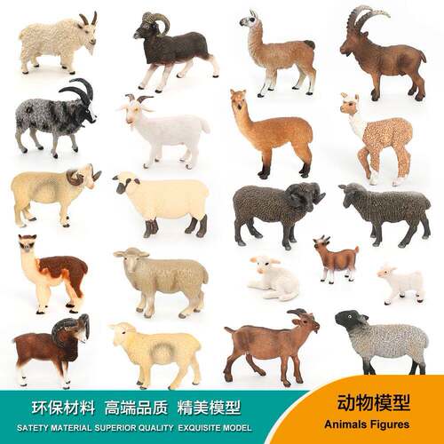 儿童模型奥兰奇绵羊山羊羚羊