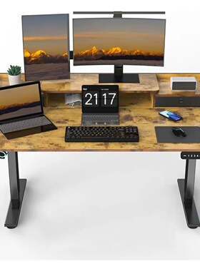 55×30 Inch Electric Standing Desk with 2 Drawer, Adjustable