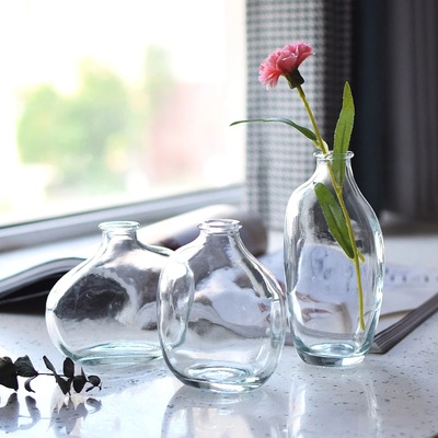 Transparent Glass Vase Flower Vase Decorative Hydroponic Pl