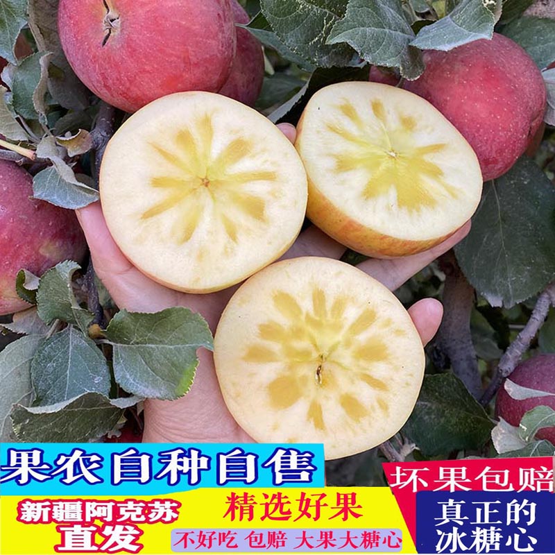 正宗真品新疆阿克苏冰糖心大苹果丑新鲜水果应当季有机整箱包邮