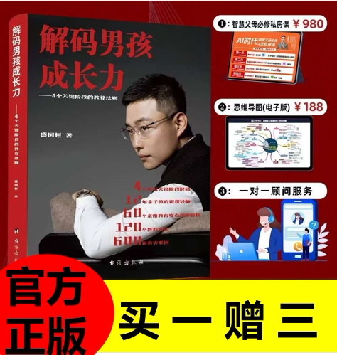 【正版】盛国恒家庭教育书籍解码男孩成长力的4个关键阶段