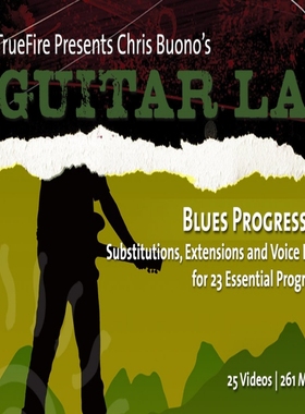 TrueFire Guitar Lab Blues Progressions Chris Buono布鲁斯进行