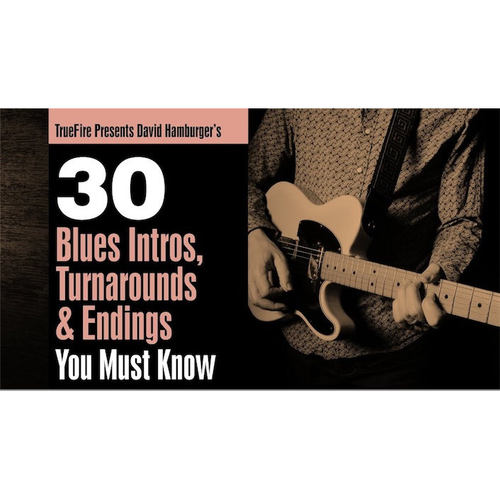 TrueFire 30 Blues Intros Turnarounds Endings David Hamburger