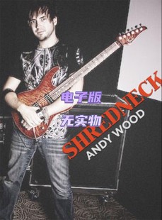 Guitar 音视谱 Solo Wood JTC Andy 吉他单曲独奏教程 Shredneck