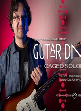 TrueFire Guitar DNA CAGED Soloing David Wallimann 吉他即兴