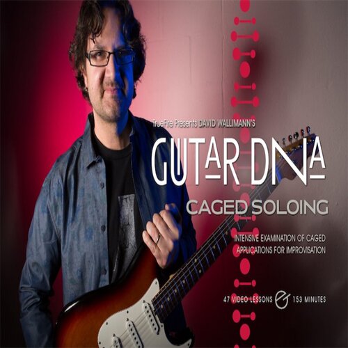 TrueFire Guitar DNA CAGED Soloing David Wallimann 吉他即兴