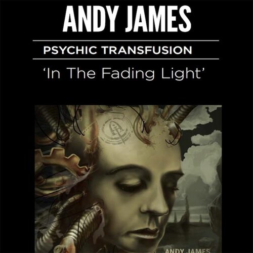 In The Fading Light Psychic Transfusion Andy James 吉他独奏