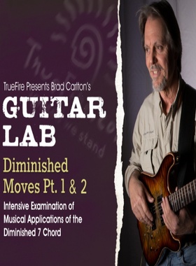 TrueFire Guitar Lab Diminished Moves Brad Carlton2套减七和弦