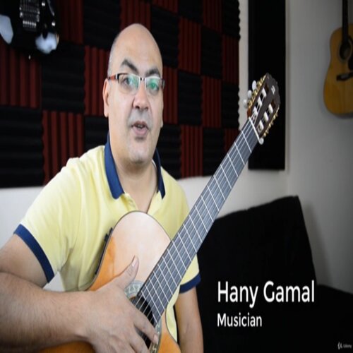 Udemy 8 Pop Songs for FingerStyle Guitar Hani Gamal 指弹吉他