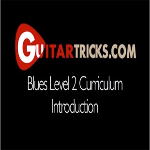 Blues Style Guitar Level 2 Anders Mouridsen 布鲁斯吉他教程