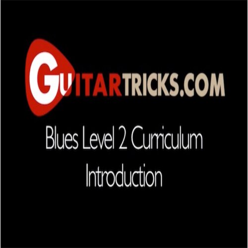 Blues Style Guitar Level 2 Anders Mouridsen 布鲁斯吉他教程