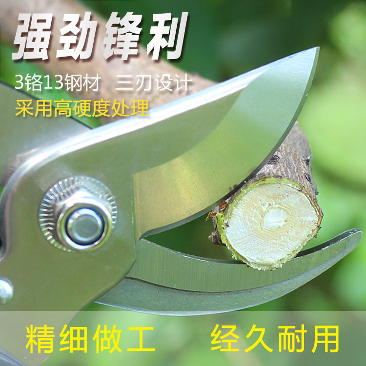 不锈钢园艺剪刀省力粗枝剪果树植物修枝剪剪树枝修花园艺小剪刀_虎窝淘