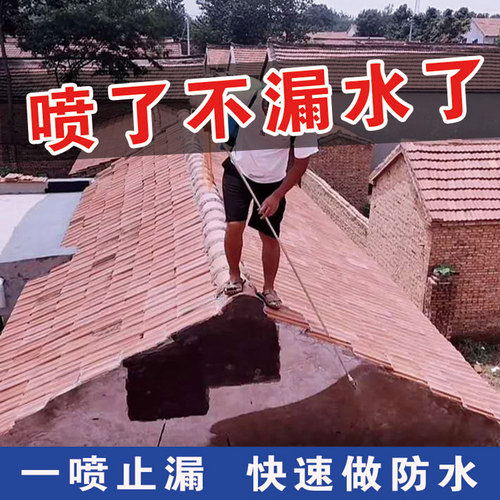 雨纯纳米屋顶墙面防水补漏喷雾剂