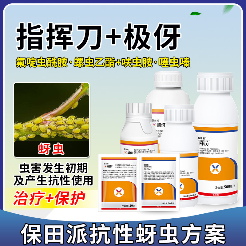 抗性蚜虫方案精准识别科学防治 氟啶虫酰胺螺虫乙酯呋虫胺噻虫嗪