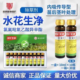 水花生净氯氟吡氧乙酸异辛酯高粱玉米一年生阔叶杂草农药除草剂