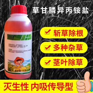 41%草甘膦异丙胺盐灭草除草剂荒地农仔除草剂杂草农药草甘磷铵盐