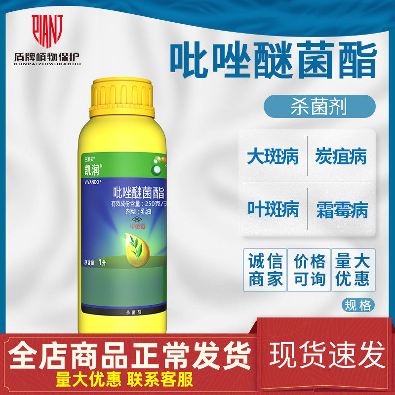巴斯夫凯润吡唑醚菌酯吡唑醚菌脂霜霉黄瓜白粉病炭疽农药杀菌剂