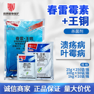 禾益倍得乐47%春雷霉素王铜 100g 柑橘溃疡病农药杀菌剂25
