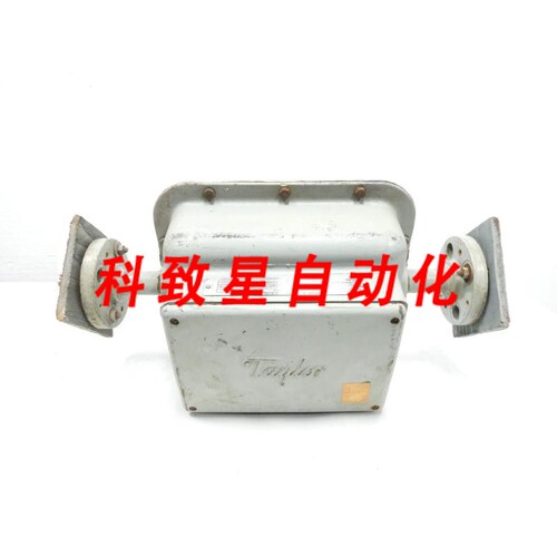 工业配件TAYLOR 1200 MAG-PIPE 流量计 1IN 300 117V-AC