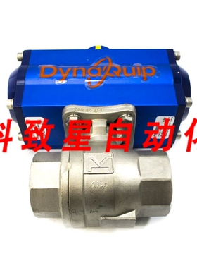 工业配件DYNAQUIP P2S27AJSR06310 110PSI 1-1/2