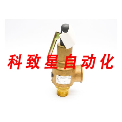 工业配件KUNKLE 6010GFM01-KM0135 135PSI 1-1/4