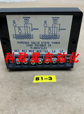 工业配件PUREGAS P-06521-F1固态定时器120V 1A