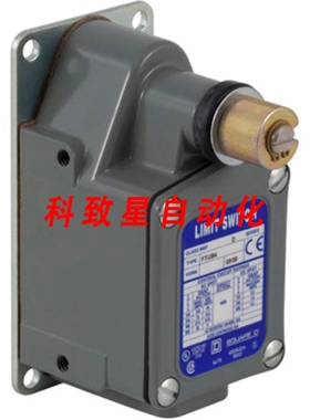 工业配件9007FTSB1-600VAC 12A SPDT 驱动限位开关SEVERE D