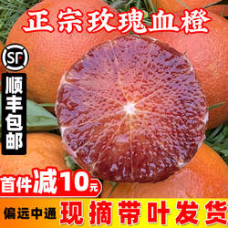 顺丰万州玫瑰香橙现摘孕妇新鲜水果四川重庆雪橙手剥塔罗科血橙子
