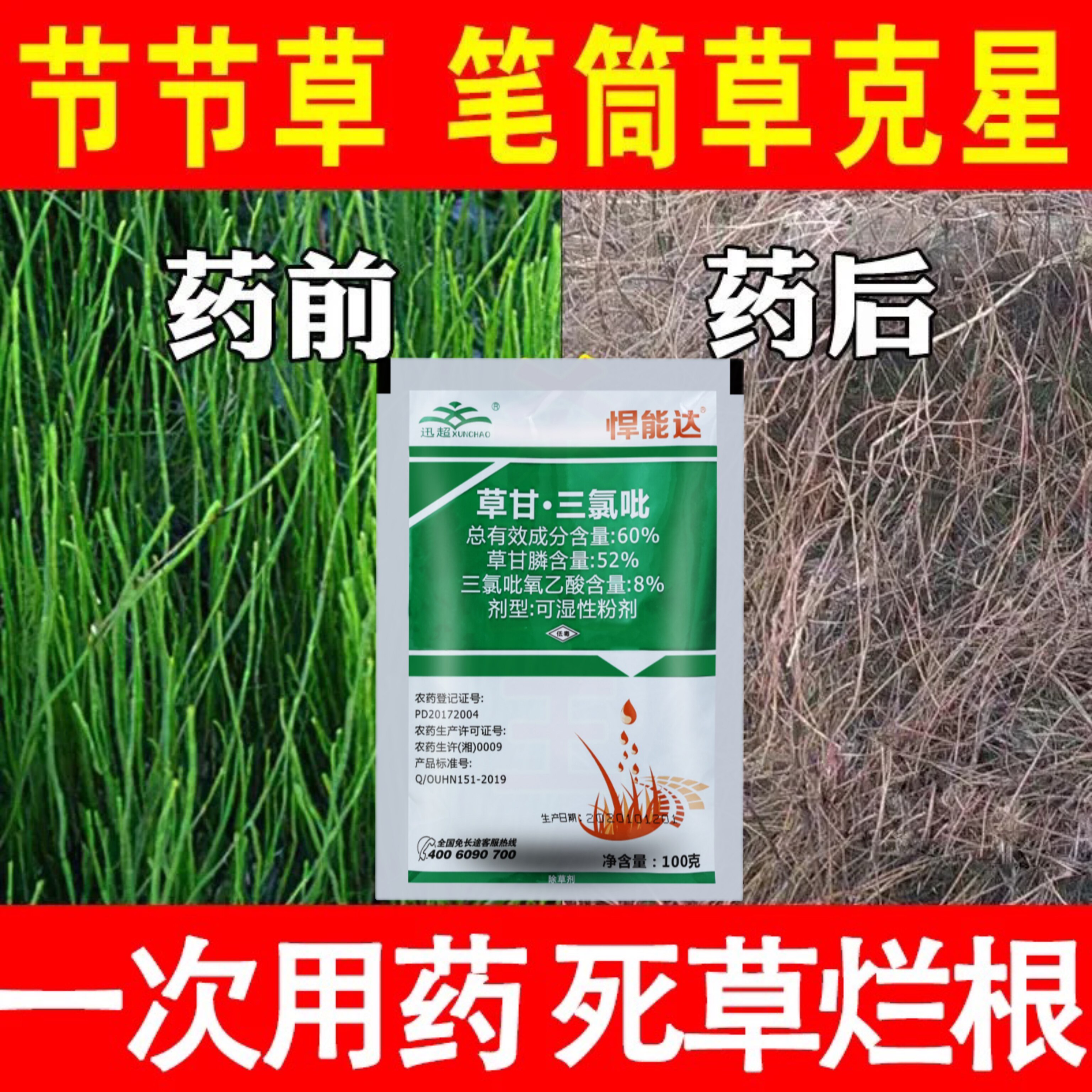 节节草专用除草药笔管草除杂草神器草甘三氯吡烂根剂一扫光除草剂