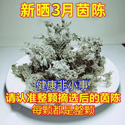 正宗茵陈晒干品茶蒿子草棉绵因茵陈中药现挖野菜新鲜野白蒿正品