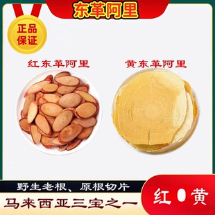 东革阿里马来西亚红东革阿里黄东革阿里无比加革南洋人参马来参