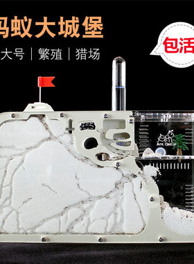 观察趣味|高透明|蚂蚁城堡套装