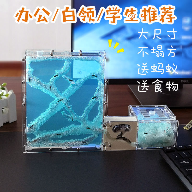 新奇蚂蚁城堡 蚂蚁工坊宠物蚁巢家园王国庄园别墅屋蚁后窝笼子