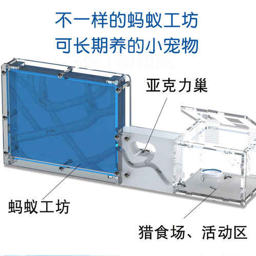不一样庄园有趣生物蚂蚁城堡