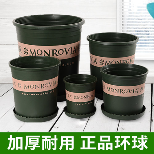 环球加仑 1加仑 2加仑 M开头正品 树脂塑料花盆阳台绿萝月季花盆