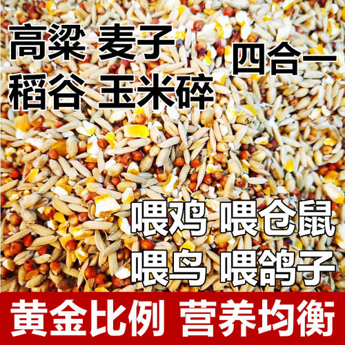 高粱麦子稻谷玉米碎粒混合喂鸡喂鸟喂鸽子渣糁杂高梁鸽粮食保健砂