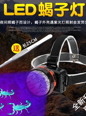蝎子灯照蝎子头灯超亮紫光头灯LED强光远射充电头戴式手电筒照豆