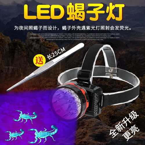 双光源两用紫光+白光充电式头灯
