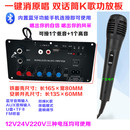 大功率双话筒蓝牙K歌消原音功放板12V24V220V低音炮主板高端数字