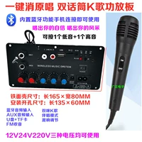 Микрофон, элитная цифровая материнская плата, высокая мощность, bluetooth, 12v, 24v, 220v