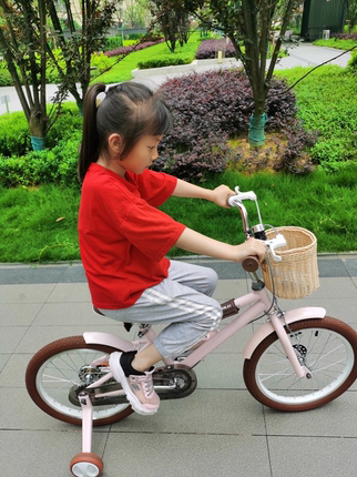 T卡多雷儿童自行车14/18寸3-6岁男孩女孩单车宝宝女宝脚踏车玩具