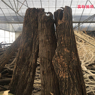 天然真树皮包裹柱子装饰遮挡真树枝防腐摆设室内墙壁装饰树干摆件