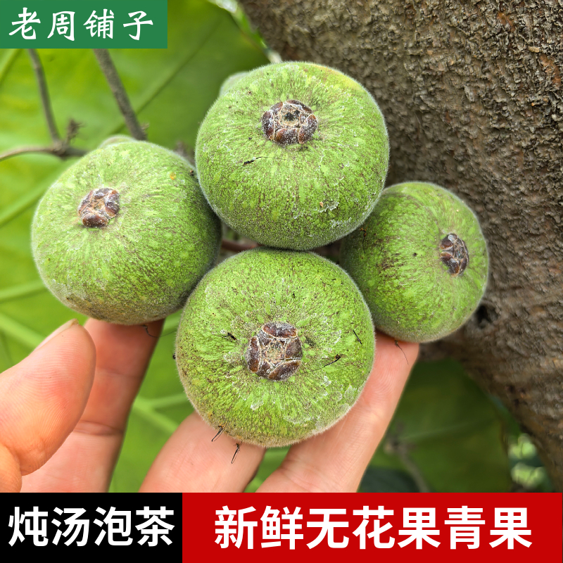 新鲜生无花果青果中药材炖汤泡茶四季水果现摘发货非熟果药用泡酒