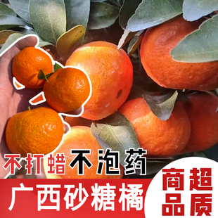 广西砂糖橘新鲜现摘整箱砂糖桔不打蜡无籽纯甜柑子橘子桔子精品果