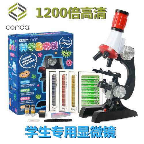 conda康大儿童科普趣味小实验